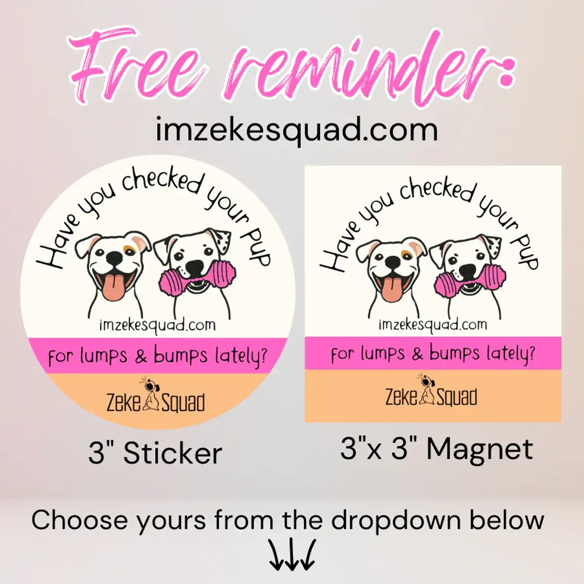 Canine Cancer: Get 1 FREE Reminder Magnet (3)