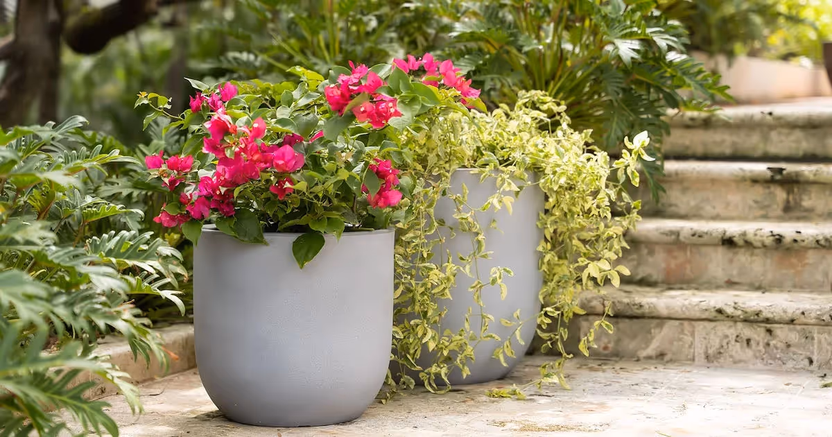 Free 12 Planter: Garden Upgrade Deal!