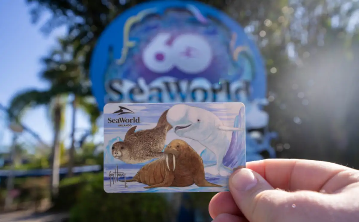 Free 2025 SeaWorld Teacher Fun Card