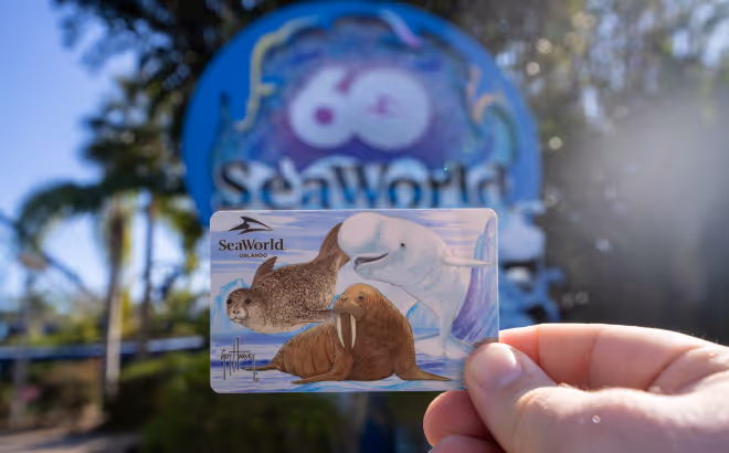 Free 2025 SeaWorld Teacher Fun Card