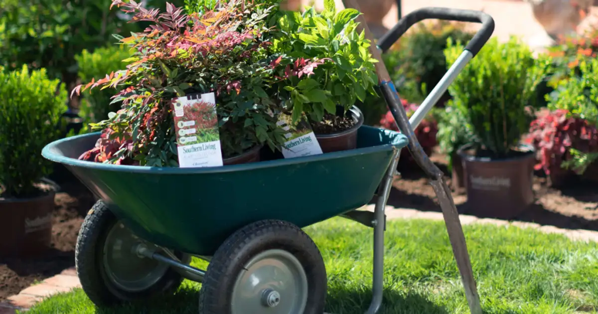 Free Backyard Upgrade: Win 1 Amazing Prize Pack!