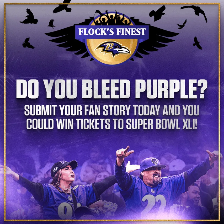 Free Baltimore Ravens Flocks Sweepstakes: Win a Bowl Trip!