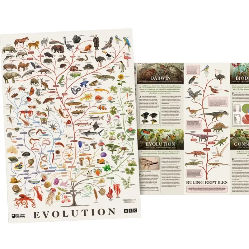 Free BBC Evolution Poster: Get Your FREE Copy Now!