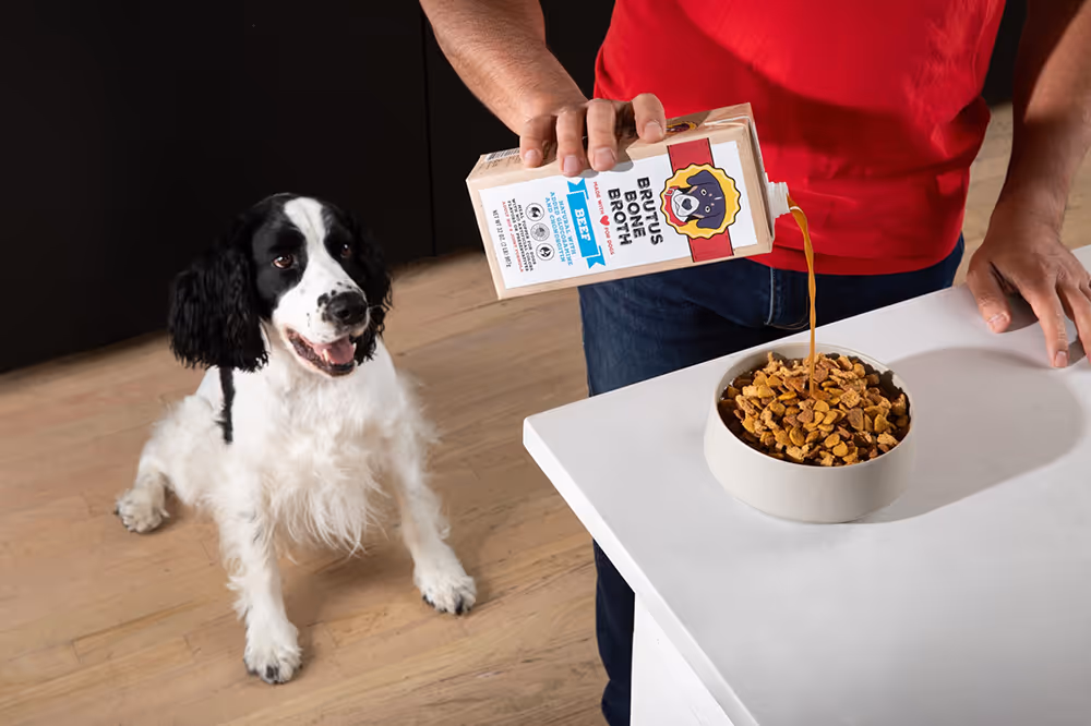 Free Brutus Broth: 75 Yappy Hour Party Packs!