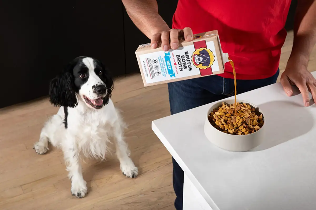 Free Brutus Broth: 75 Yappy Hour Party Packs!
