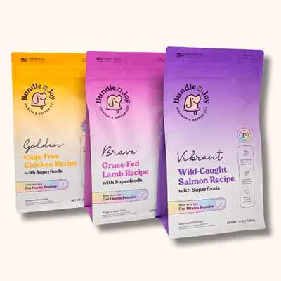 Free Bundle x Joy Gut-Friendly Dog Food: Score 1 FREE Bag!