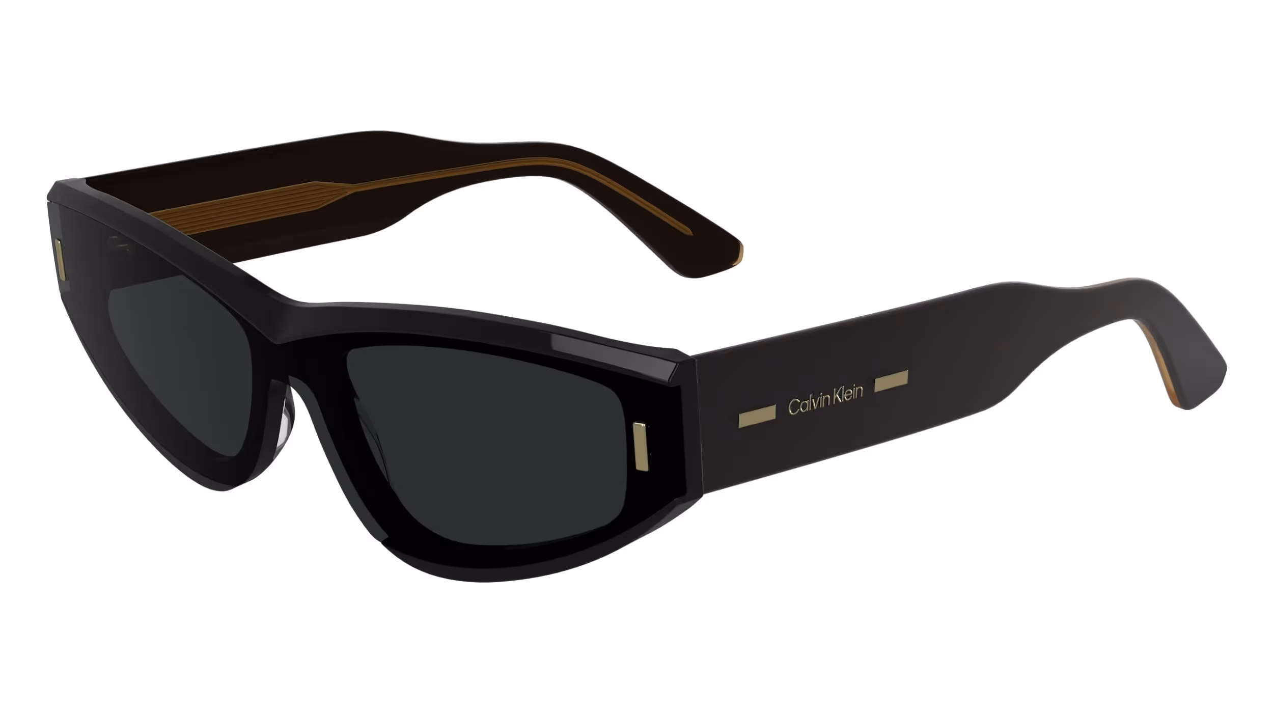 Free Calvin Klein Sunglasses: Get 1 Pair + Free Shipping!