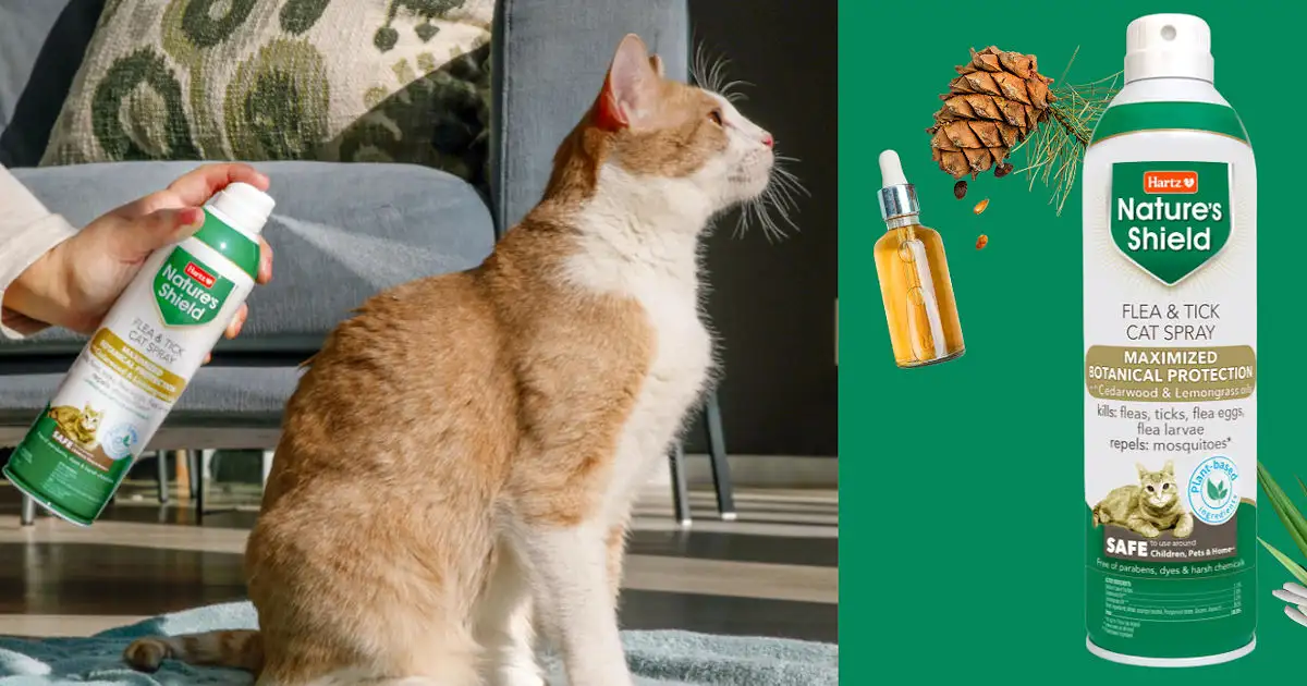 Free Cat Flea Spray: Claim Your Hartz Sample!