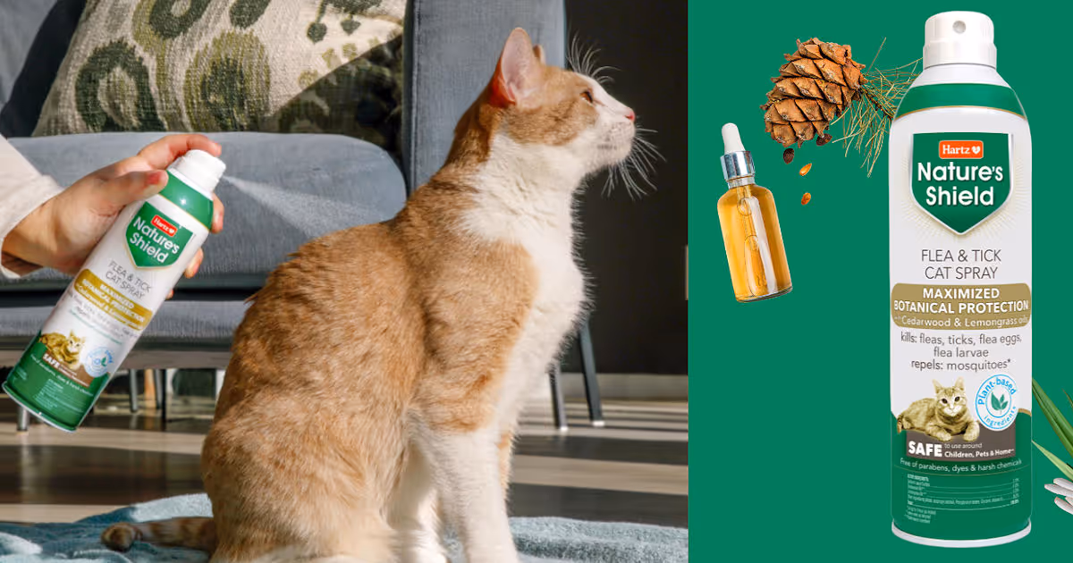 Free Cat Flea Spray: Claim Your Hartz Sample!