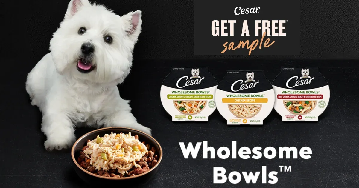 Free CESAR Wholesome Bowls Dog Food: Get 1 FREE Sample Today!