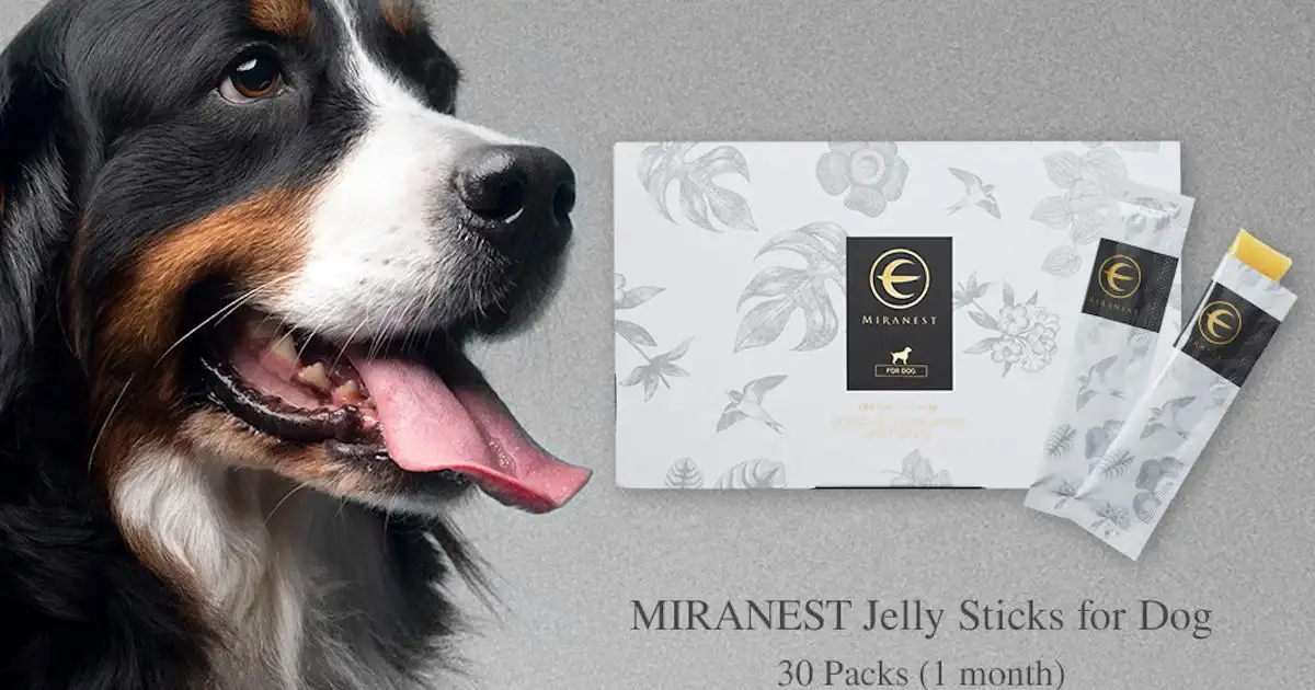 Free Dog Jelly Sticks: 30-Day MIRANEST Sample