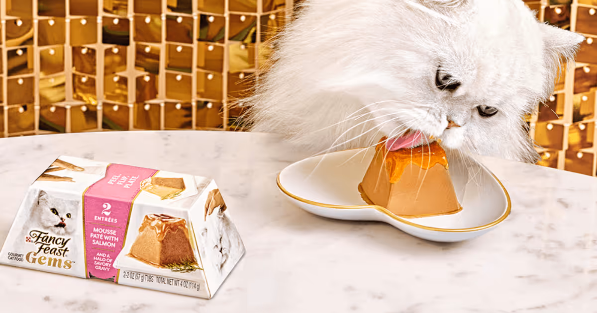 Free Fancy Feast Salmon: Get 1 Gem Sample Now!