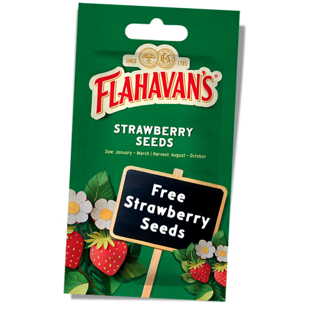 Free Flahavan's Strawberry Seeds: Grow 4800 Packs of Deliciousness!