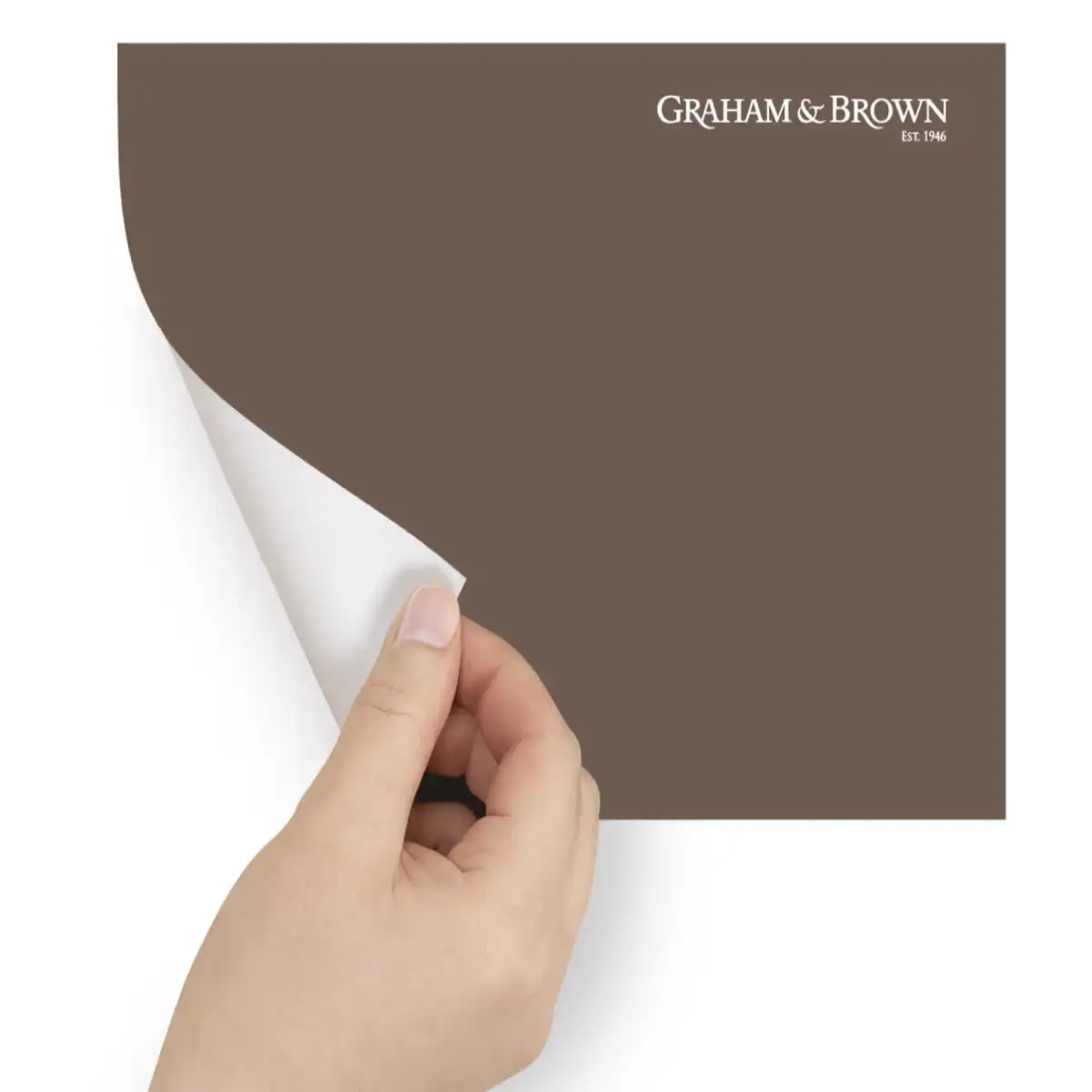 Free Graham & Brown Peel & Stick Paint: Up to 3 (£2 each)