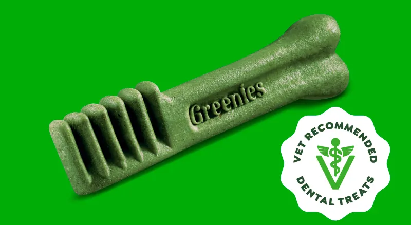 Free Greenies Dental Dog Treat Sample: No Purchase Required