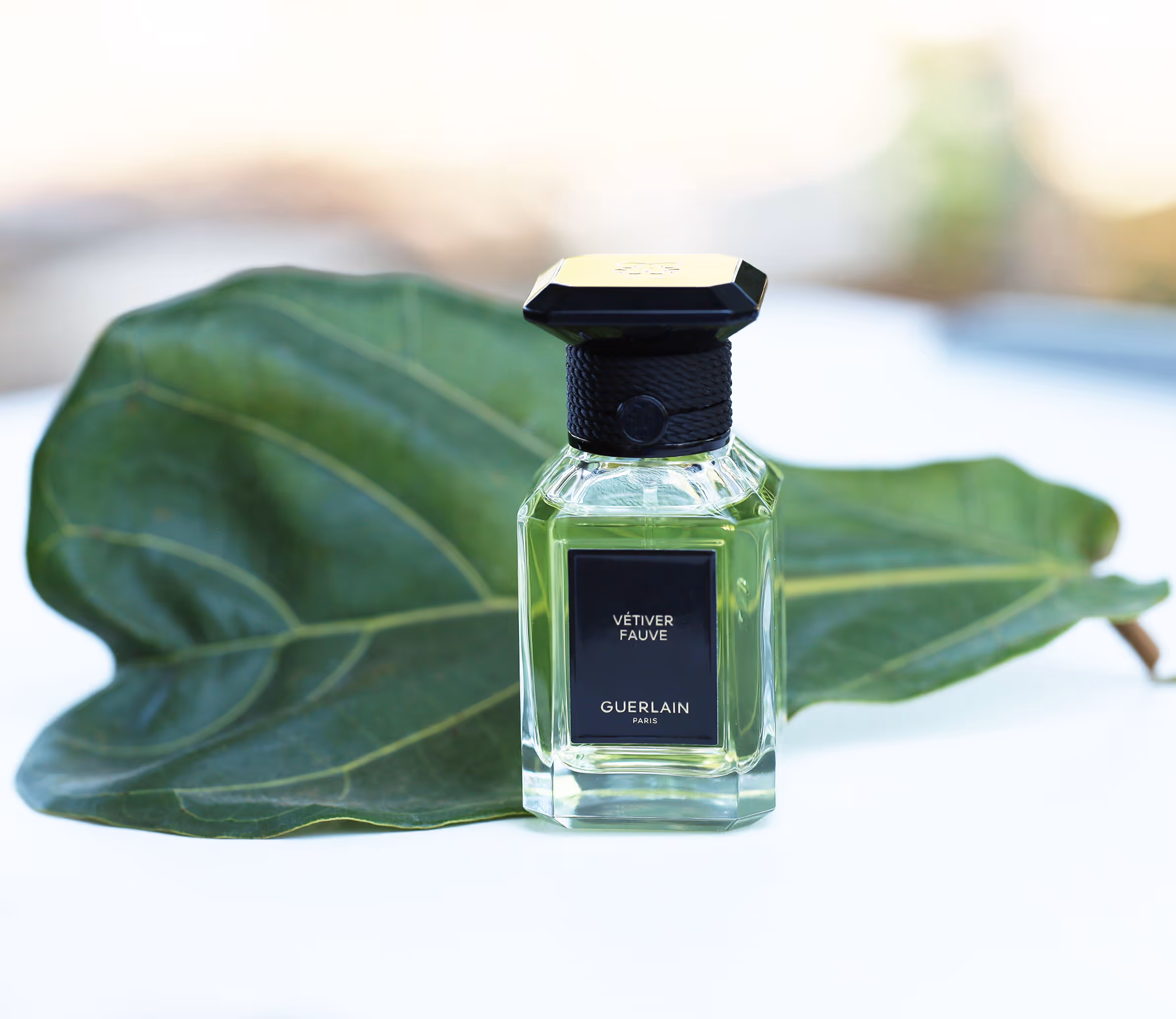 Free Guerlain Fragrance Sample: Claim Your Exclusive Vétiver!