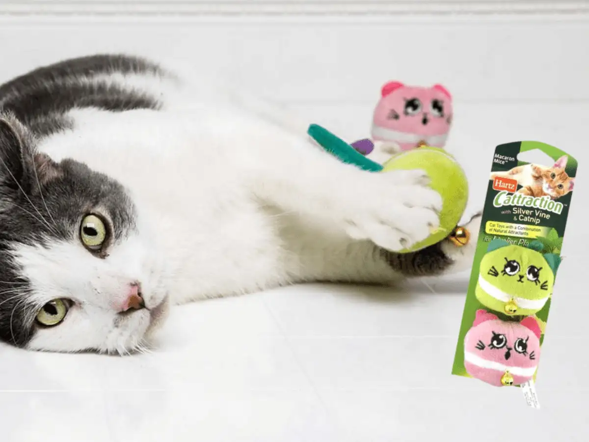 Free Hartz Cat Toys! 1 Way to Get Yours Now