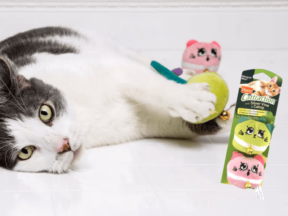 Free Hartz Cat Toys! 1 Way to Get Yours Now