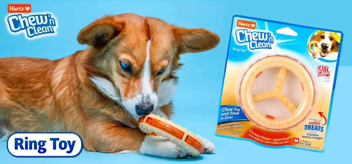 Free Hartz Chew 'n Clean Ring Dog Toy