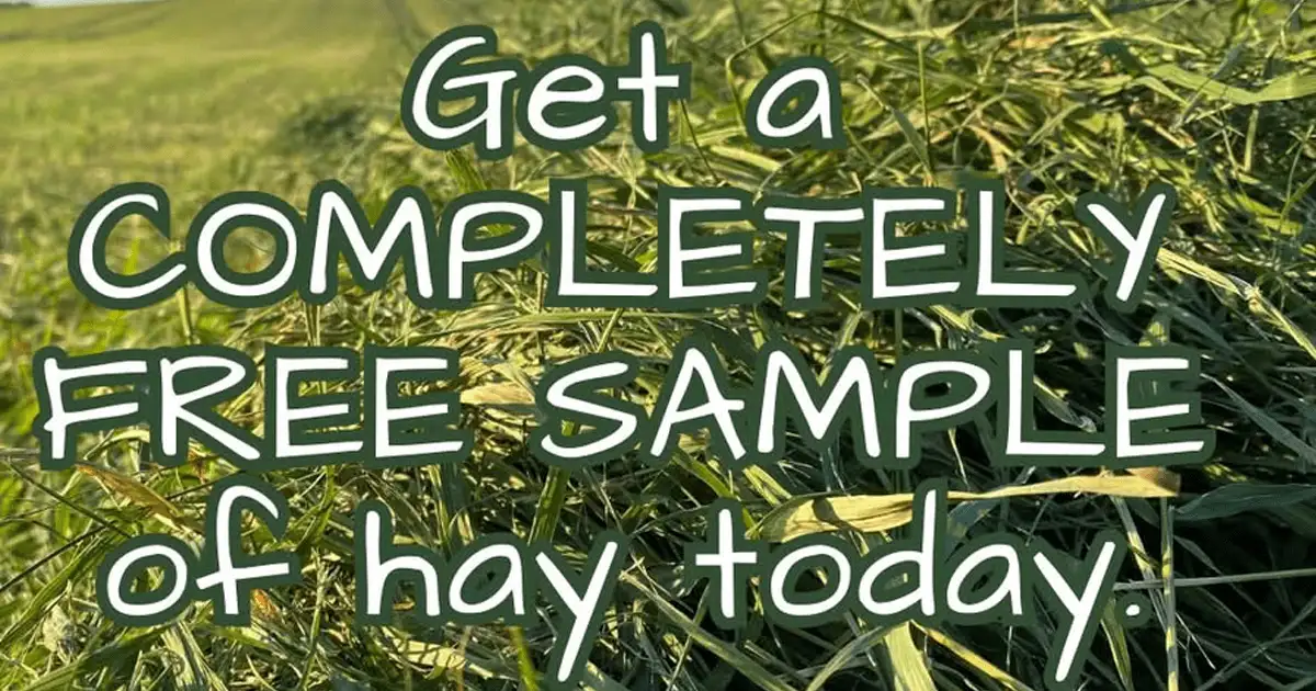 Free Hay Sample: Get Farmer Dave's Pet Supply + 1 Bonus!