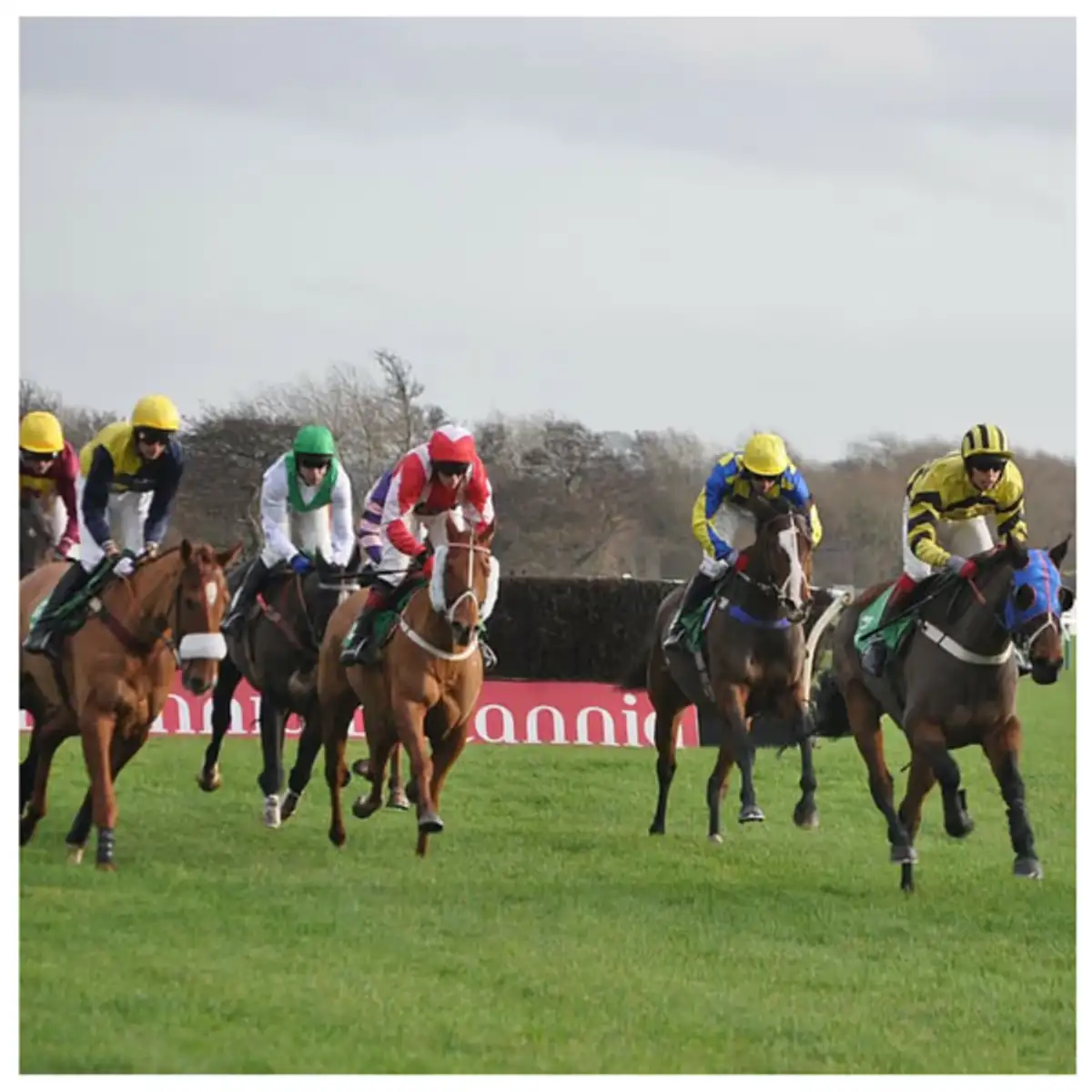 Free Horse Racing Tickets: 10,000 Tickets Up for Grabs!
