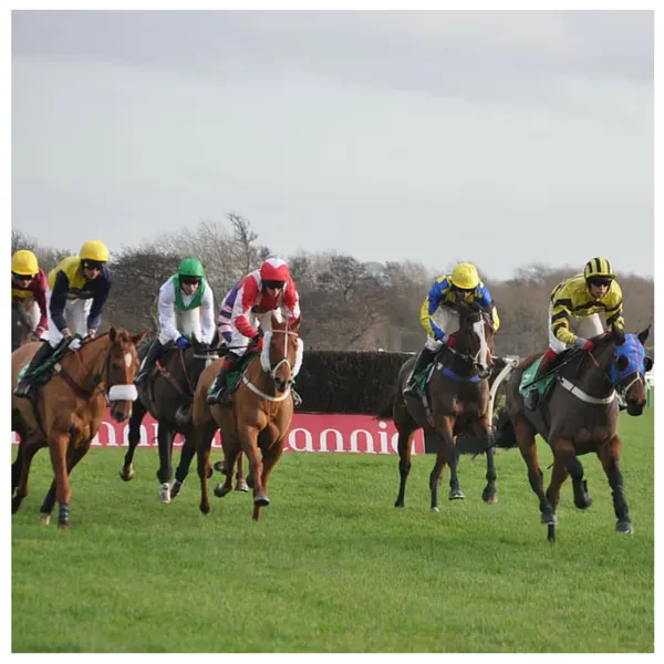 Free Horse Racing Tickets: 10,000 Tickets Up for Grabs!