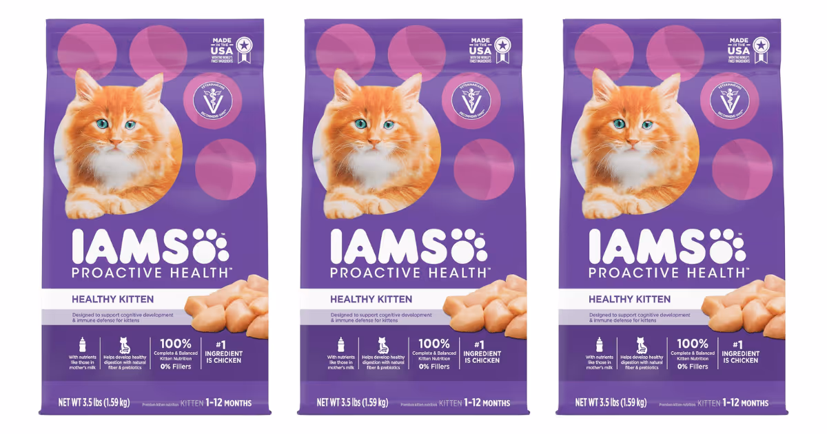 Free IAMS Kitten Food Sample: 1 Exclusive Deal!