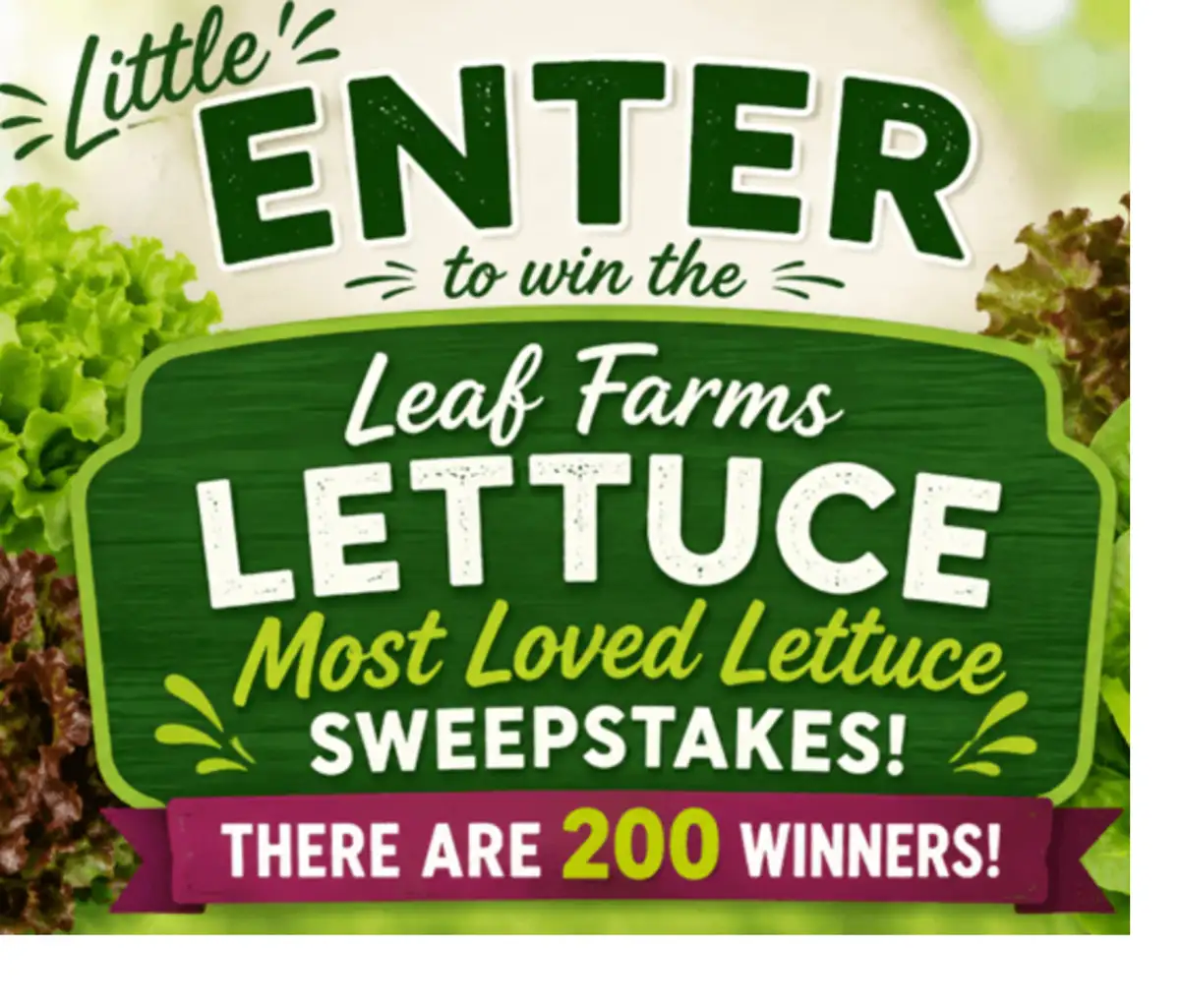 Free Little Leaf Farms Lettuce Most Loved Lettuce Sweepstakes (200 WINNERS)