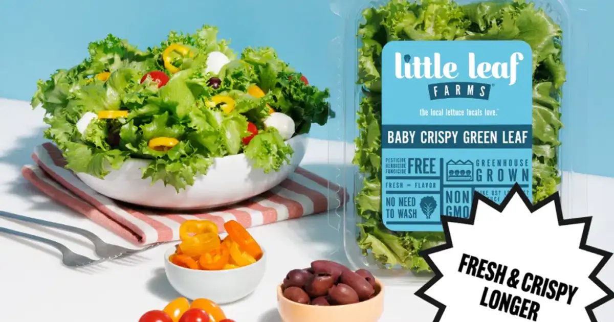 Free Little Leaf Farms Lettuce: Win $2500 + 1 Year!