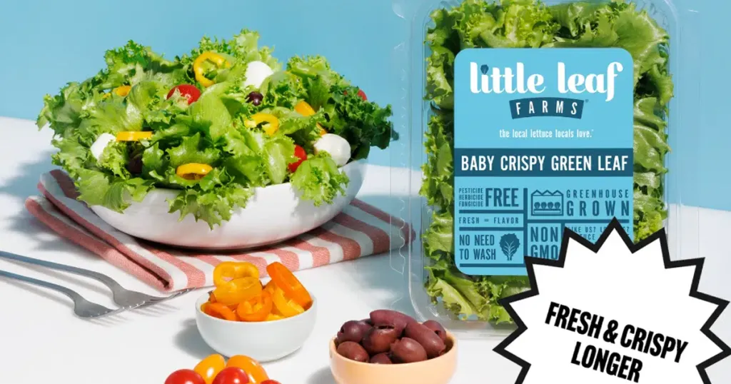 Free Little Leaf Farms Lettuce: Win $2500 + 1 Year!