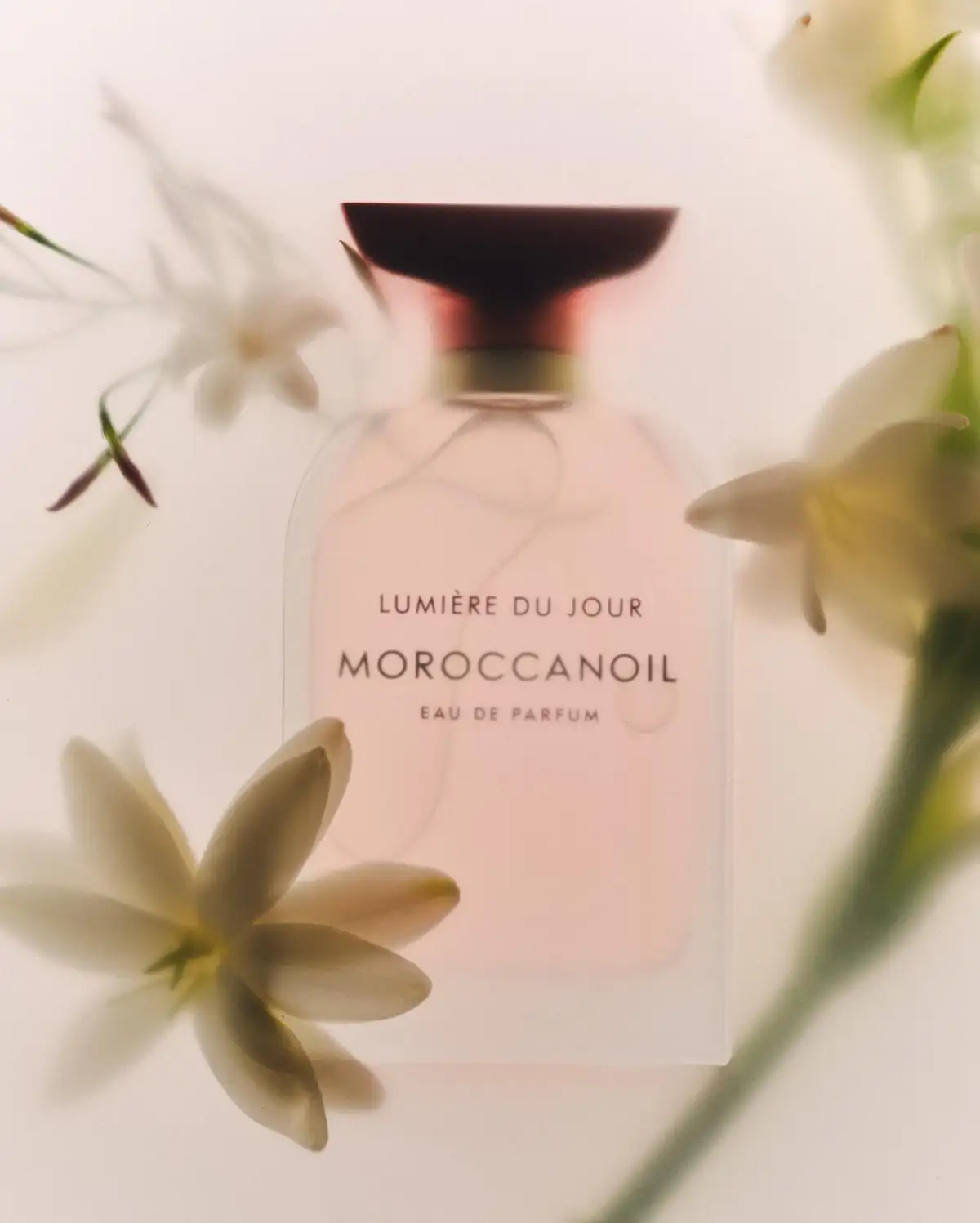 Free Moroccanoil Lumière du Jour Eau de Parfum Sample: Get 1 FREE Bottle!