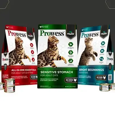 Free Nulo Prowess Cat Food: Get 10 Free Samples Now!