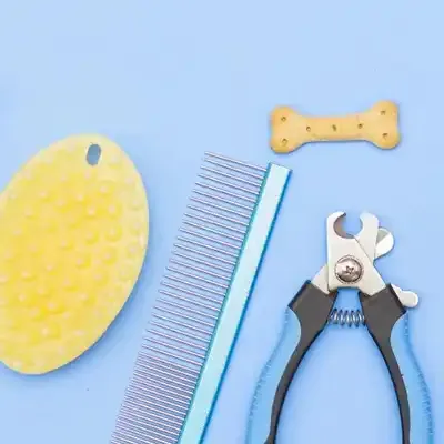 Free Pet Grooming Tool: Get a FREE Sample Today!