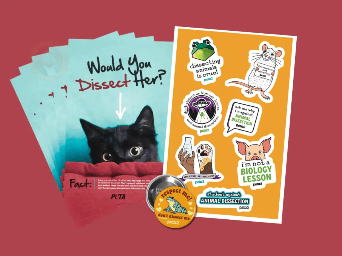 Free PETA Stickers: 1 Easy Way to End Dissection