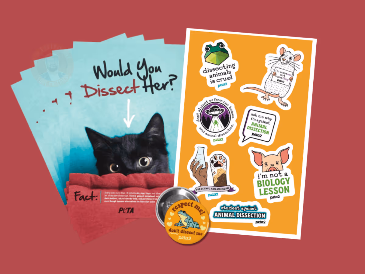 Free PETA Stickers: 1 Easy Way to End Dissection