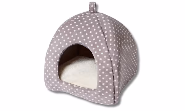 Free Petplan Win 1 Cat Bed