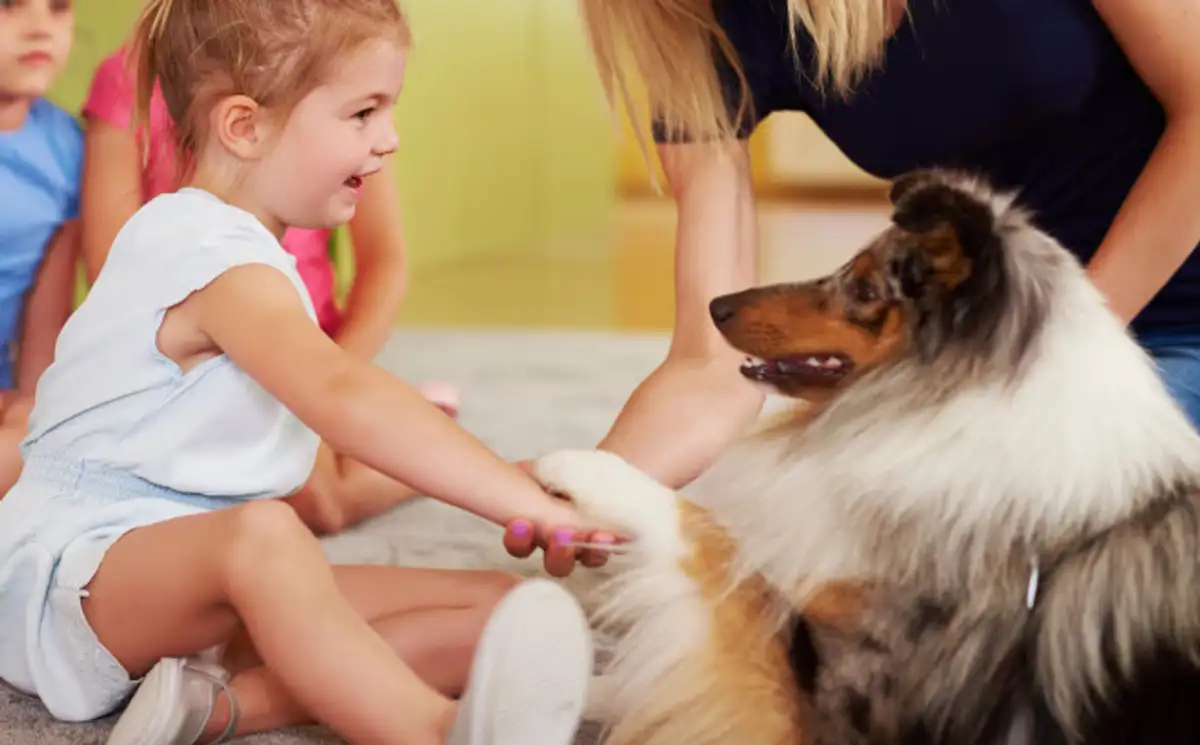 Free Pets in the Classroom Grant: Get a Classroom Pet for Teachers!