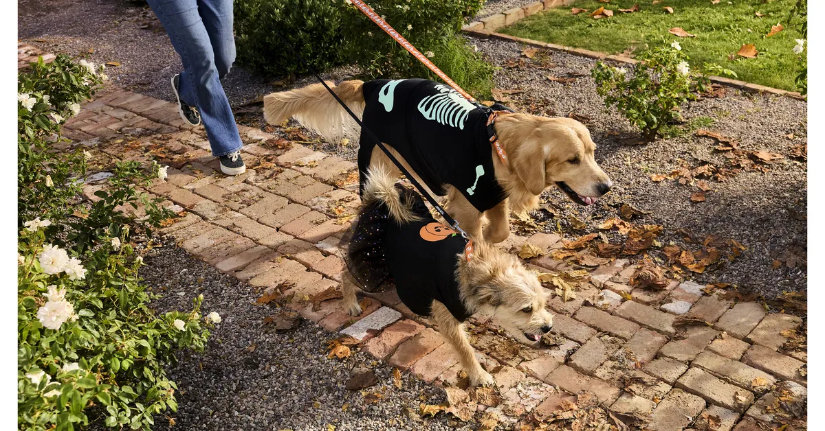 Free PetSmart Tote Bag: Get One with Halloween Event Purchase