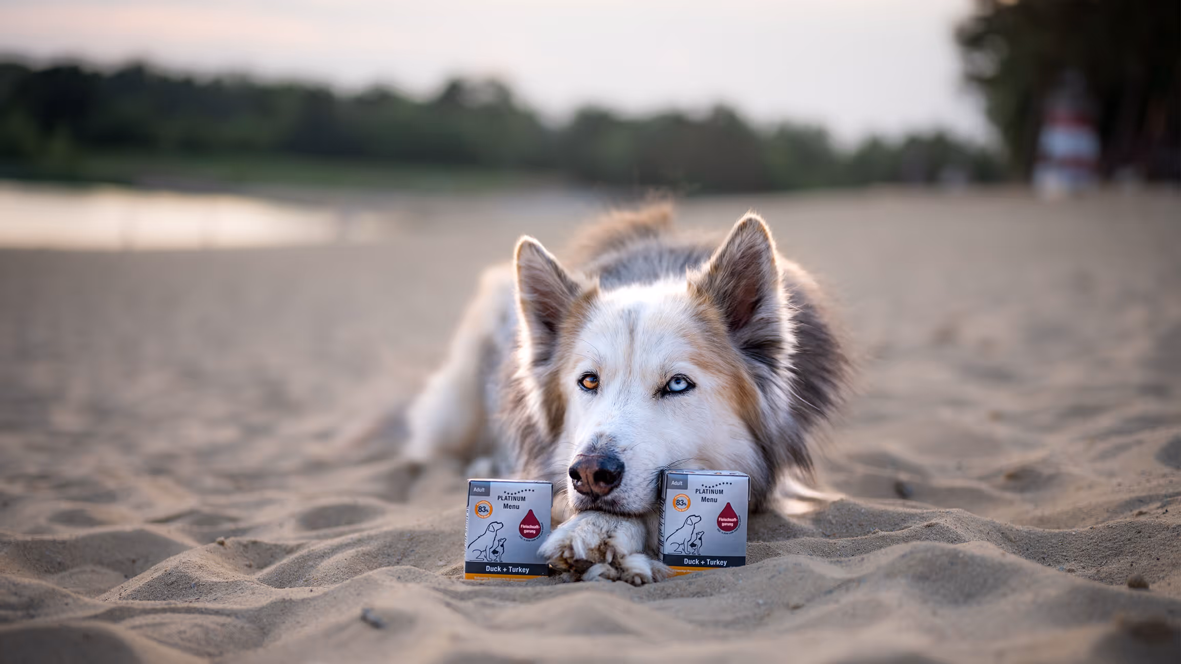 Free Platinum Dog Food! 500 Dog Owners Needed!