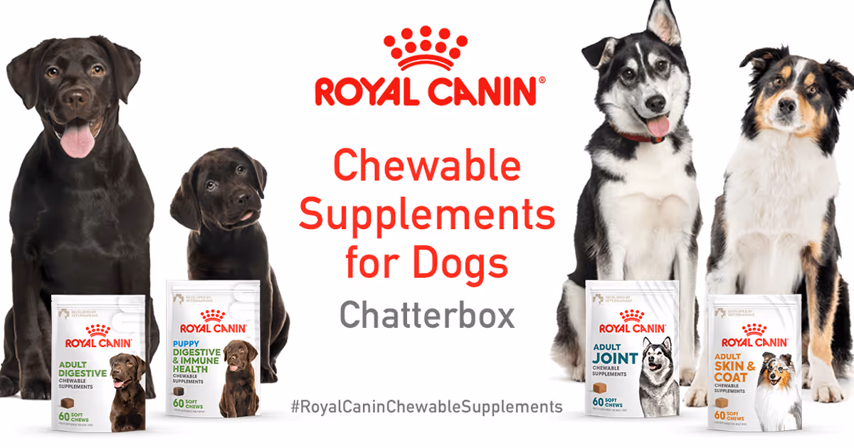 Free Royal Canin Chewable Supplements: 2,000 Dog Owners Wanted!