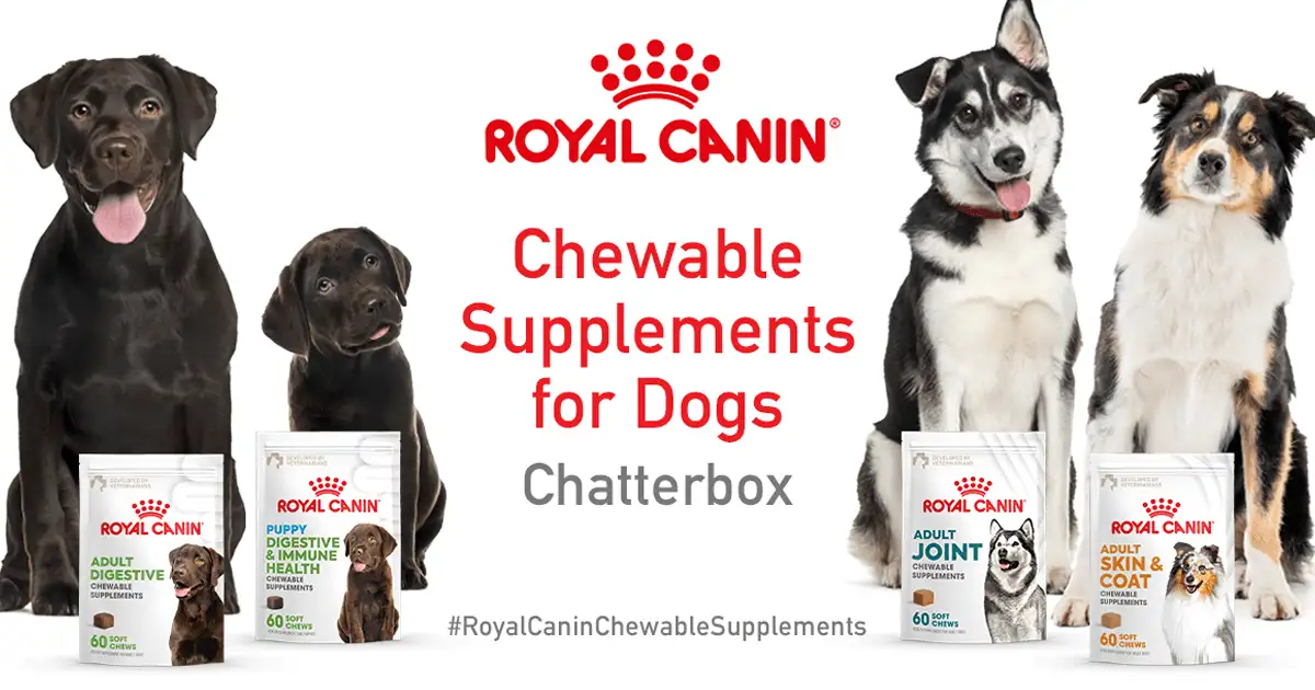 Free Royal Canin Chewable Supplements: 2,000 Dog Owners Wanted!