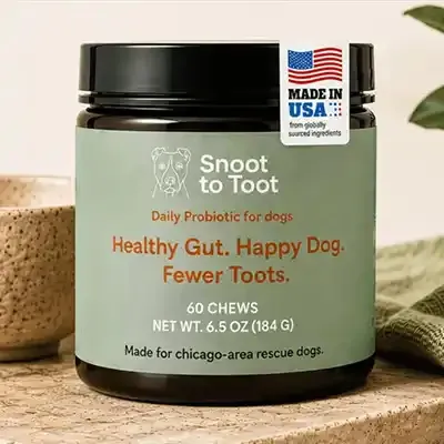 Free Snoot to Toot Digestive Chews for Dogs: Unlock 10 Daily Gut Health Wins!
