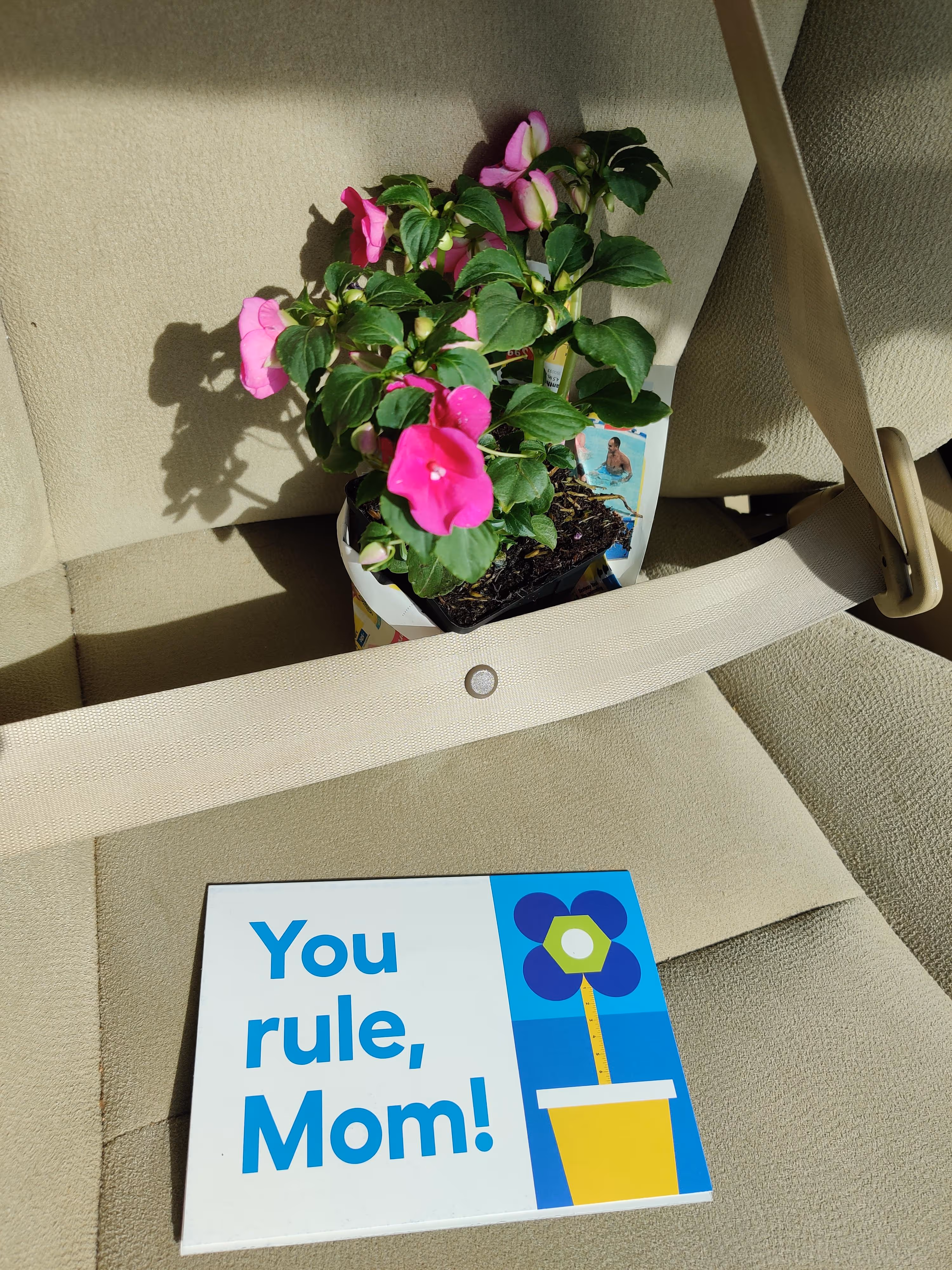 Free Spring Flower at Lowe's! Claim Your 1 Today