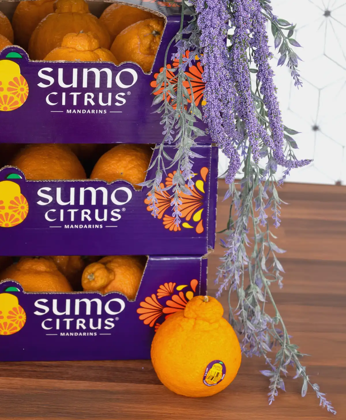 Free Sumo Citrus Boxes: Win 3 Months Supply!