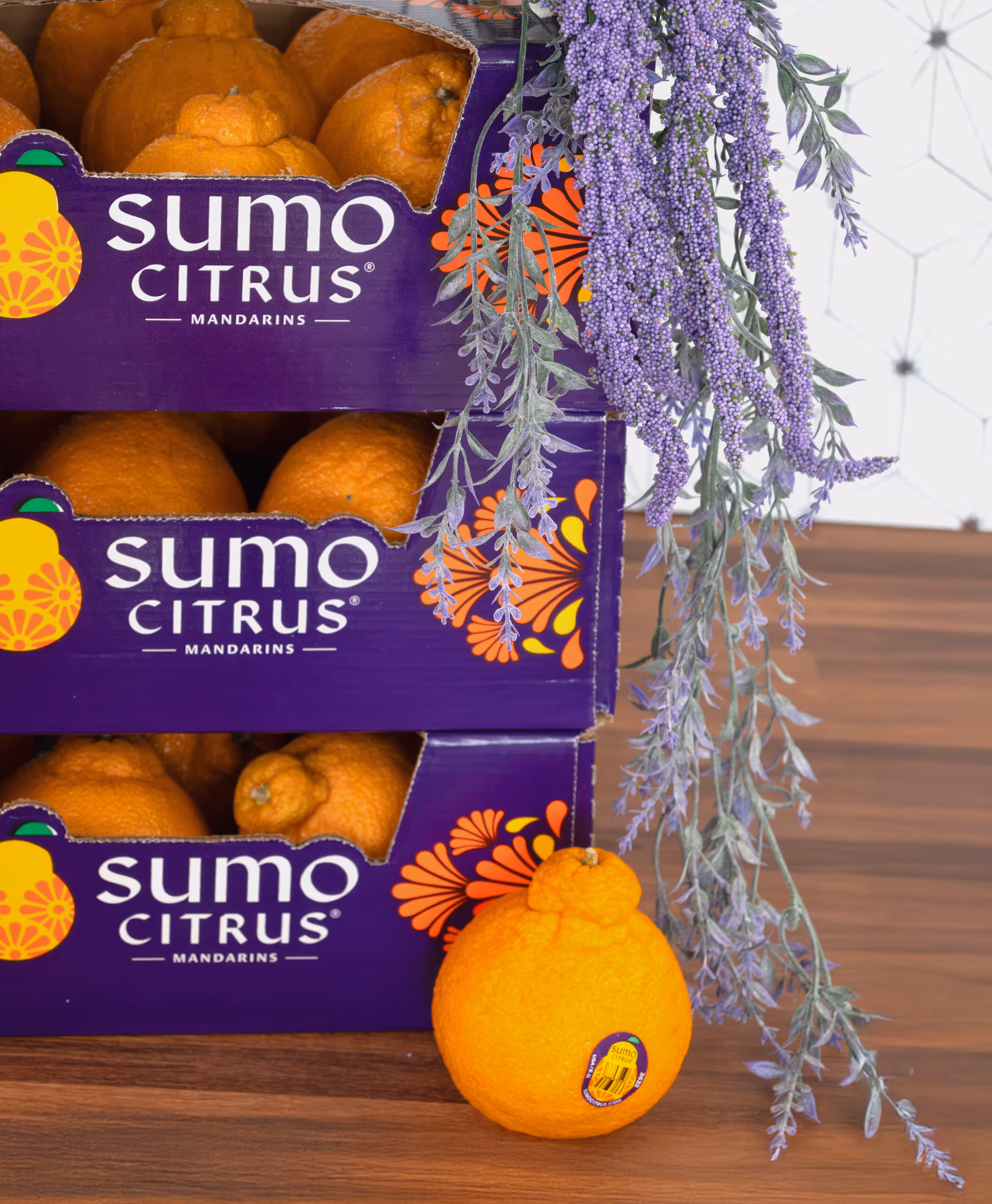 Free Sumo Citrus Boxes: Win 3 Months Supply!