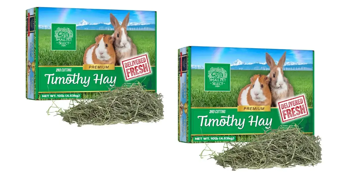Free Timothy Hay: Score 12lb Box: Claim Yours Today!