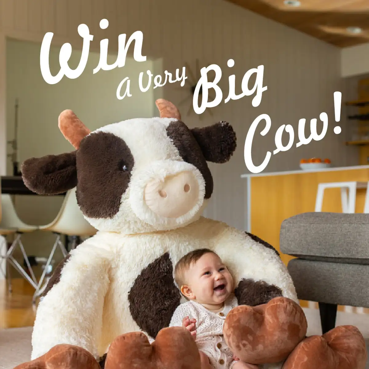 Free Vermont Teddy Bear 4ft Cow: Win a Giant Plush!