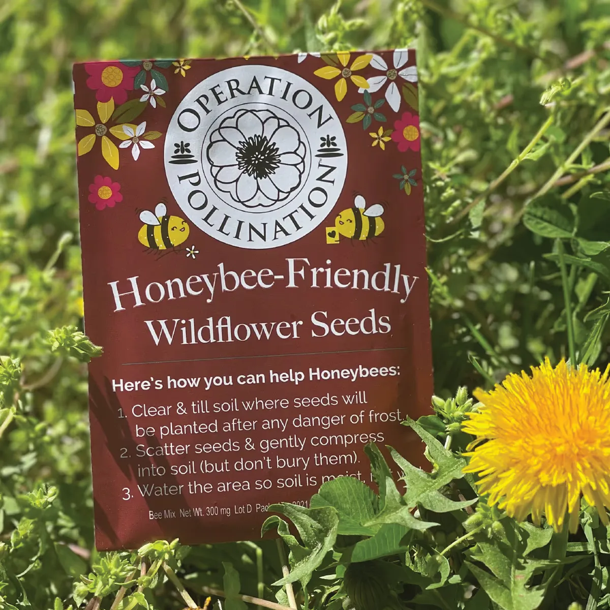 Free Wildflower Seeds: Get 5 Packets Today!
