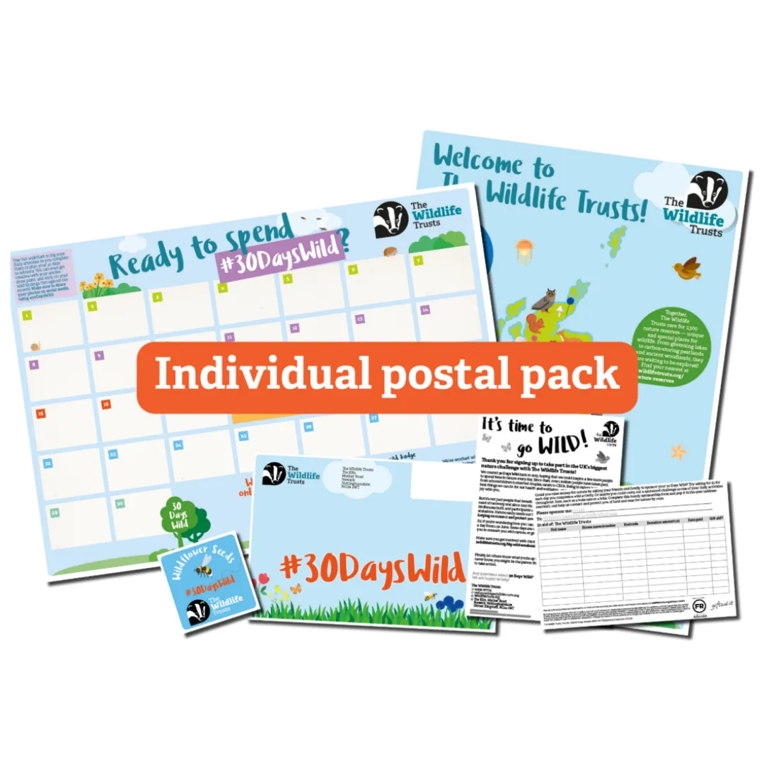 Free Wildlife Trusts Seed Pack: 30 Days of Wild Blooms and Fun Activities!