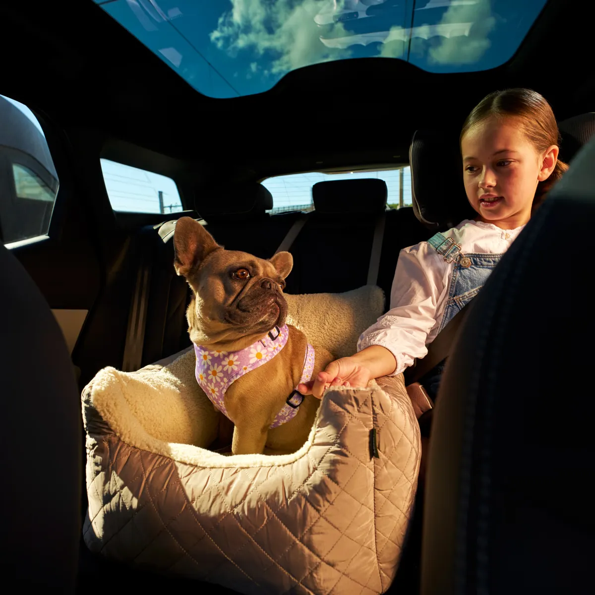 Free Win a European Getaway with Forthglade + £300 Dog Travel Bundle!